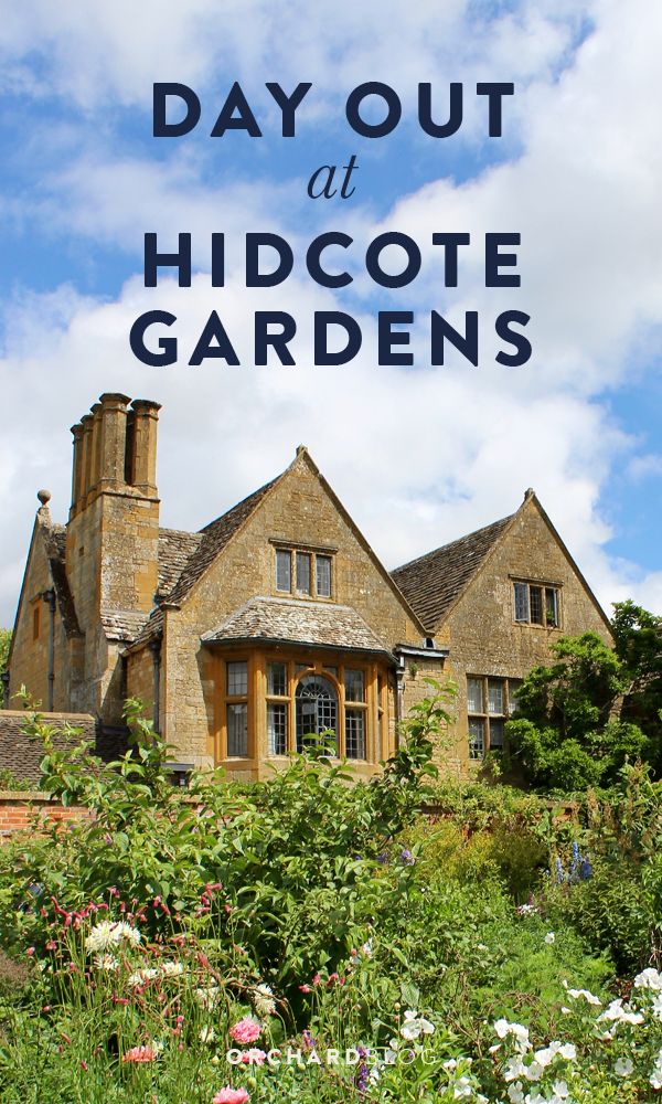 Orchard Blog | Hidcote Gardens