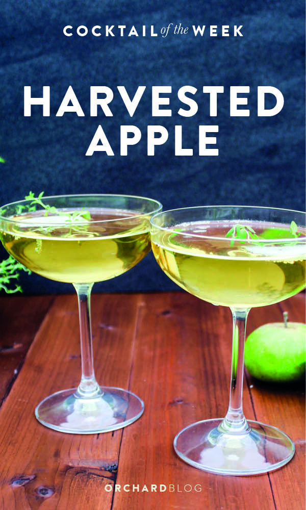 Harvested Apple Autumn Themed Cocktail