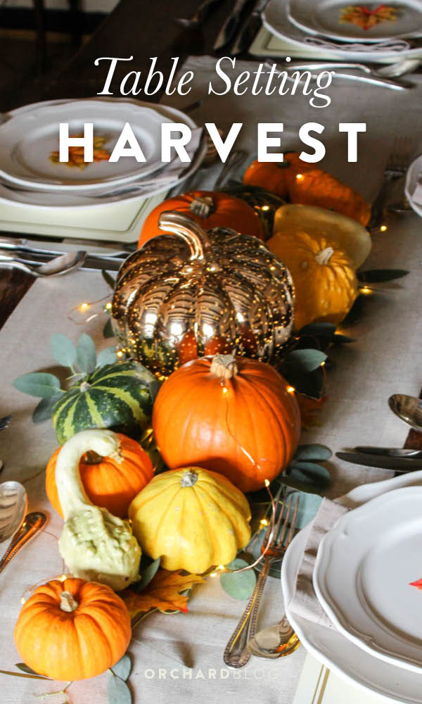 Autumn harvest table setting